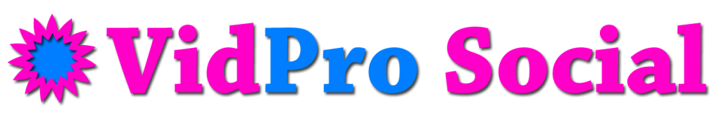 Logo Vid Pro Social